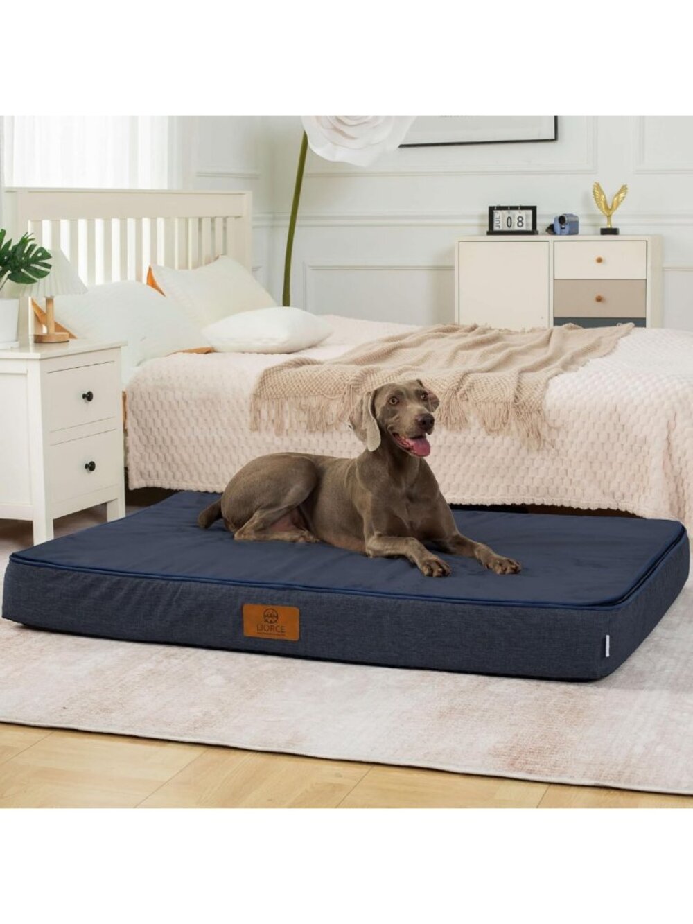Orthopedic Memory Foam Dog Bed - 6” Thick, Waterproof, Washable Cover, Large
